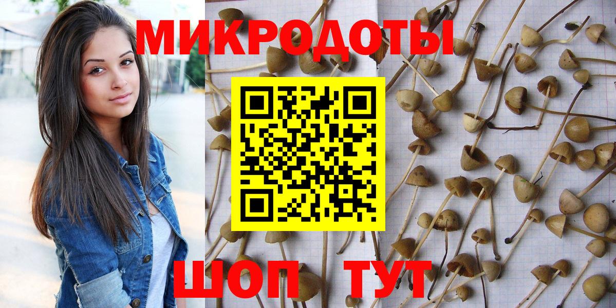 Псилоцибиновые грибы мицелий  Вход с VPN  Чапаевск 